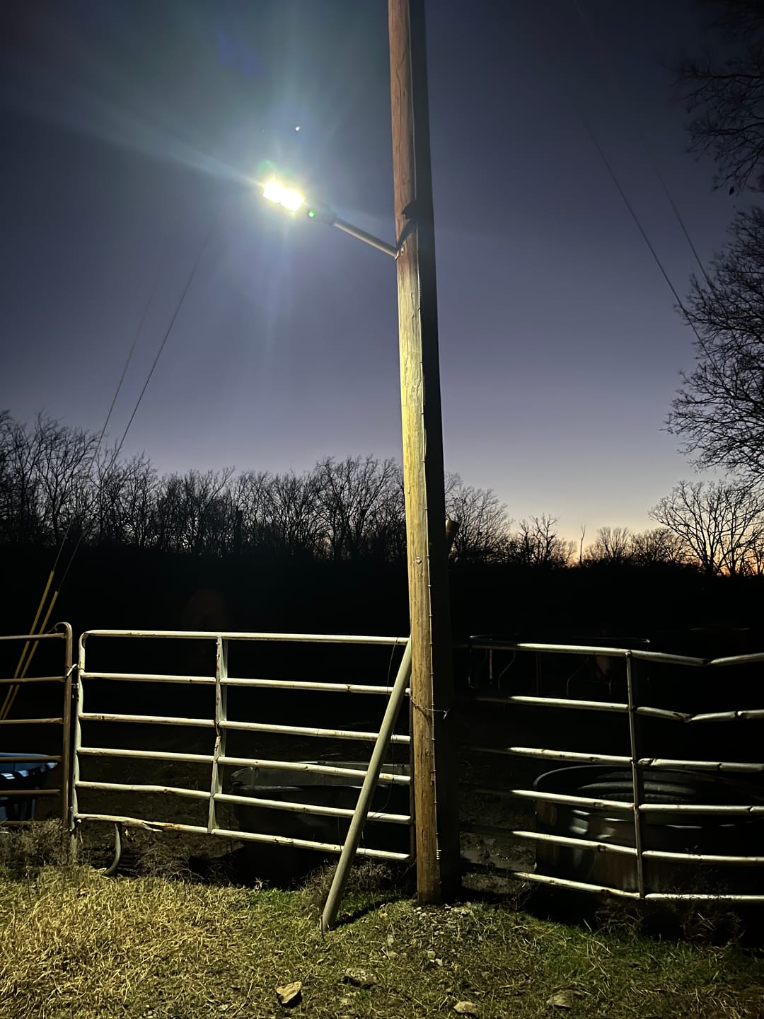 Customer photo review of Lighting Solar Sale by Home and Lighting