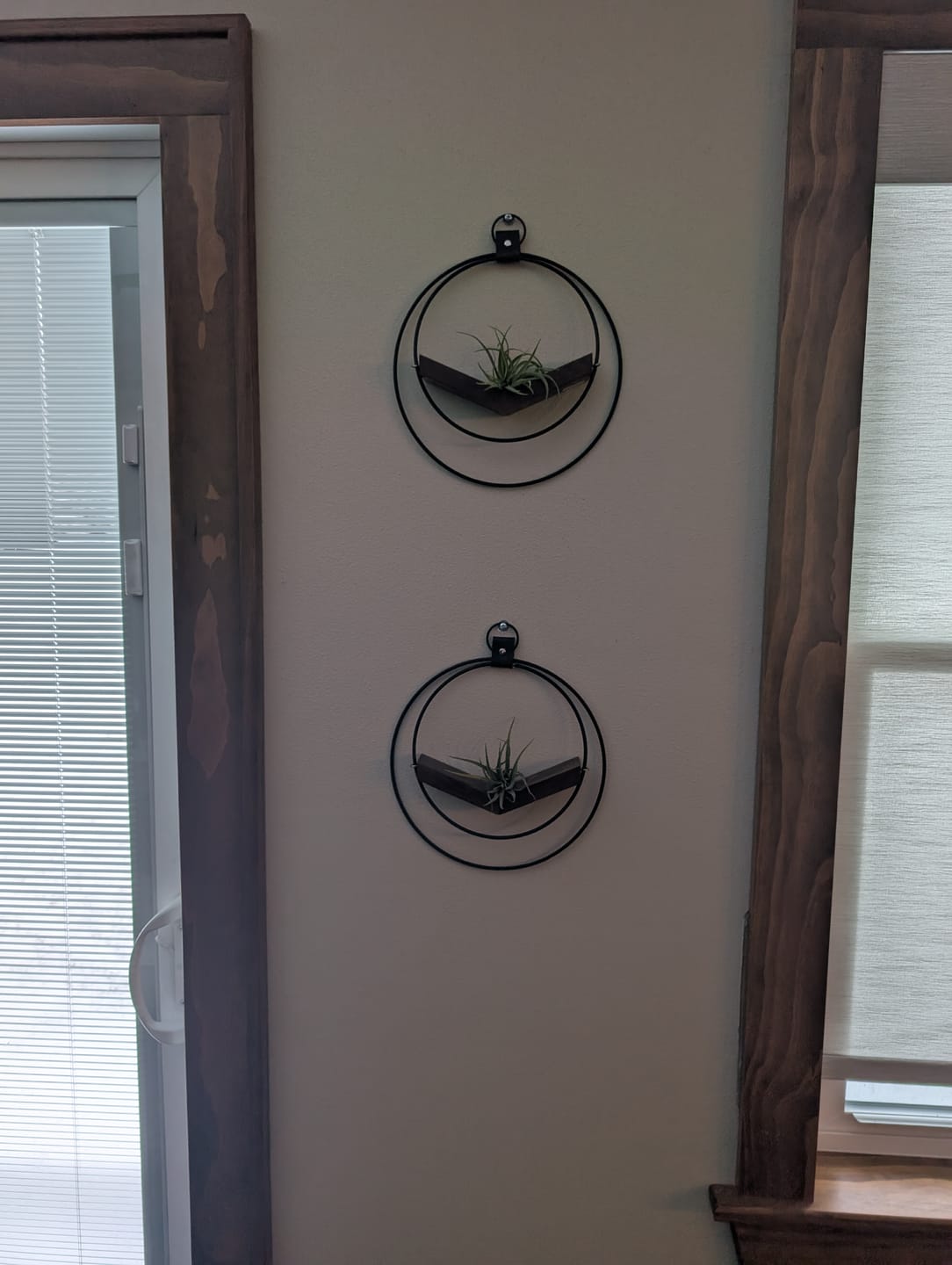 Customer photo review of Air Plant V-Hanger Duo