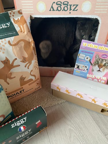 Avis photo d'un client sur Croquettes Chat Stérilisé Sans Céréales - Poulet