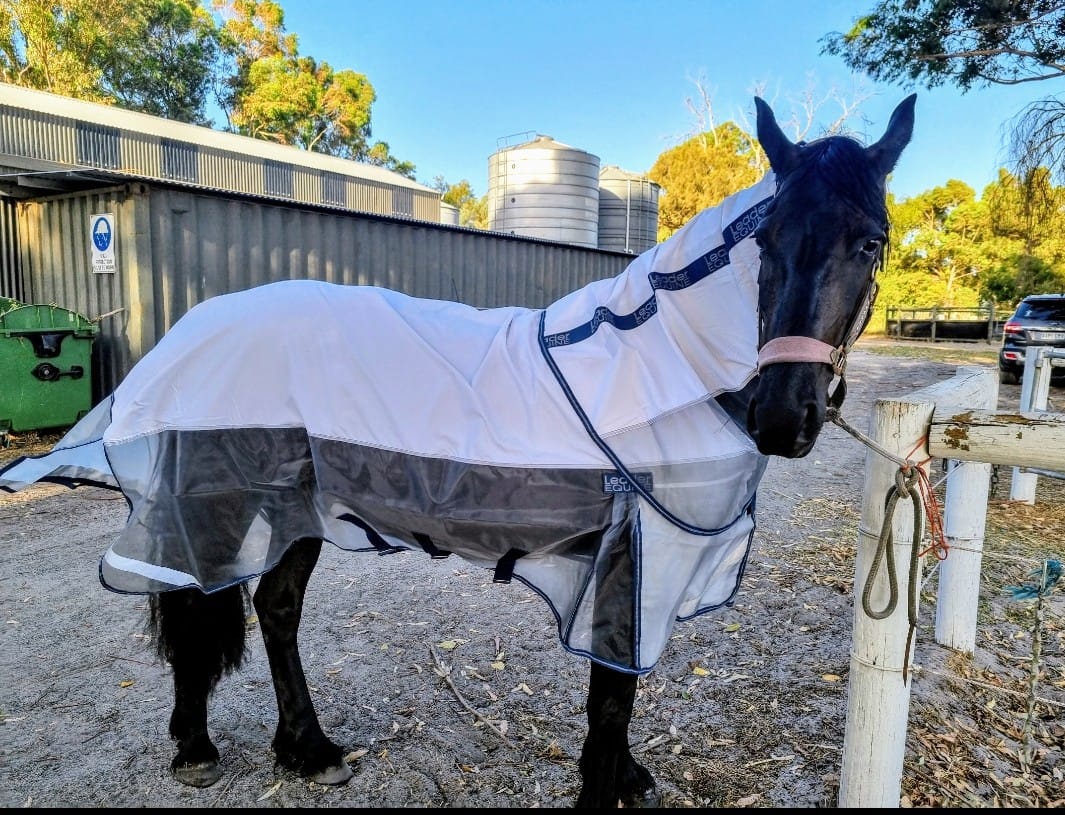 Customer photo review of LE Breeze Summer Sheet with Fieldsafe Front