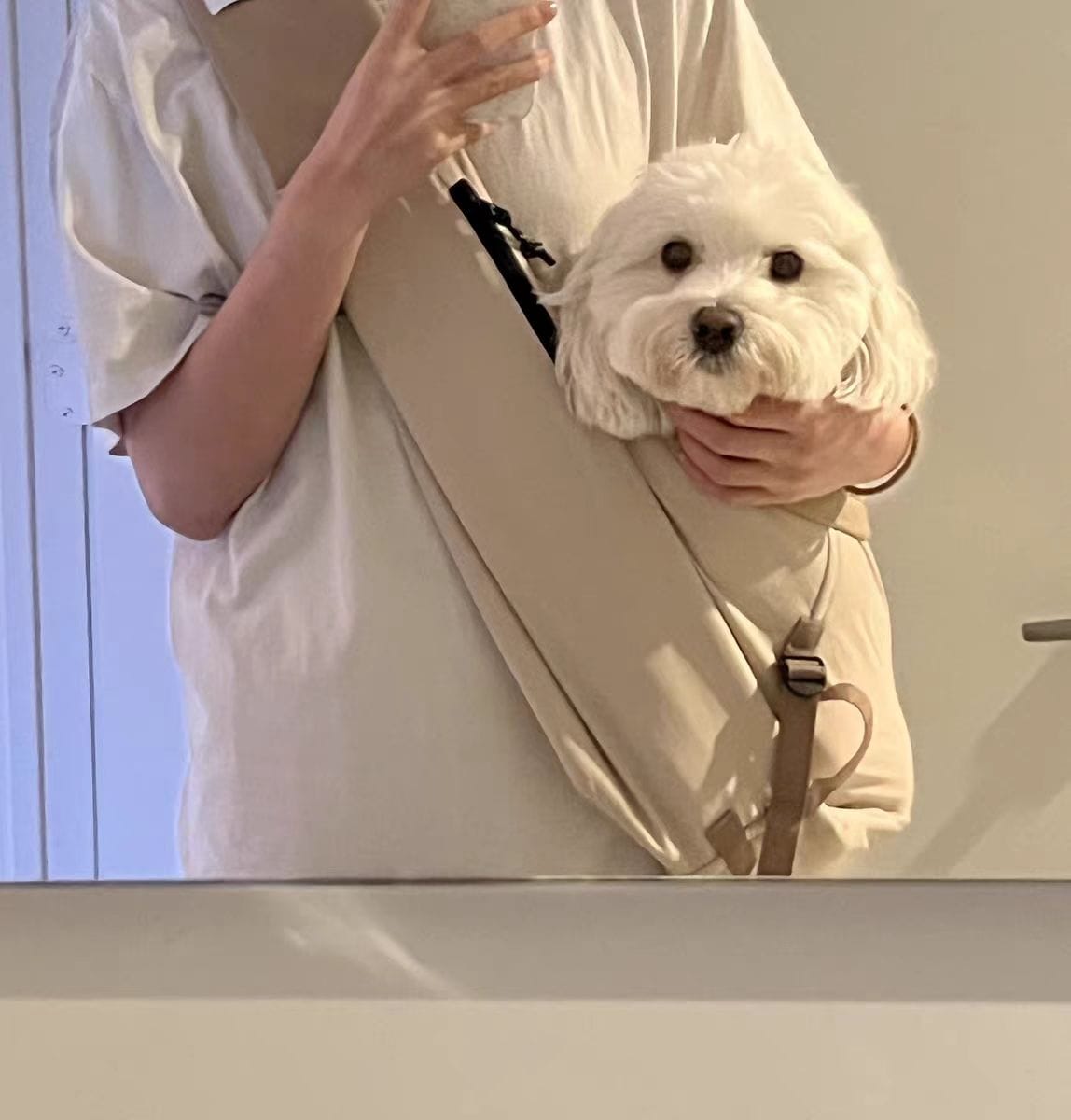 Customer photo review of Wide-Strap Cradle-Style Structured Pet Sling Carrier Bag