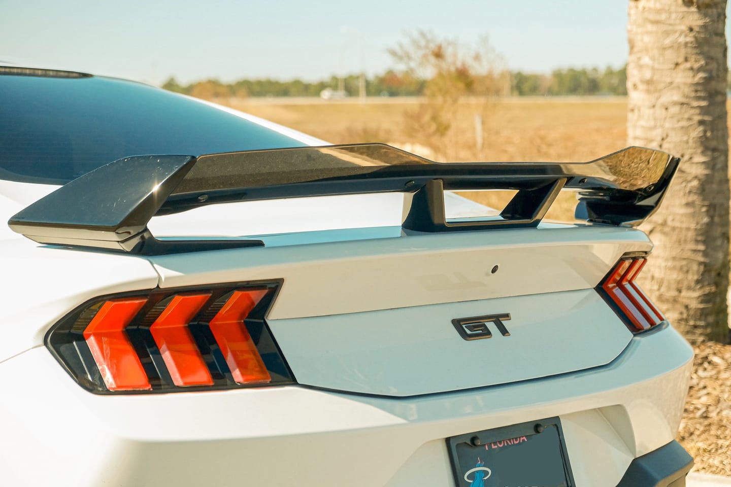Customer photo review of PRE-ORDER 2024 + Ford Mustang Dark Horse Rear Spoiler Gloss Black ABS