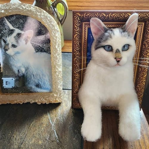 Custom 3D Cat Stuffed Animal Clones