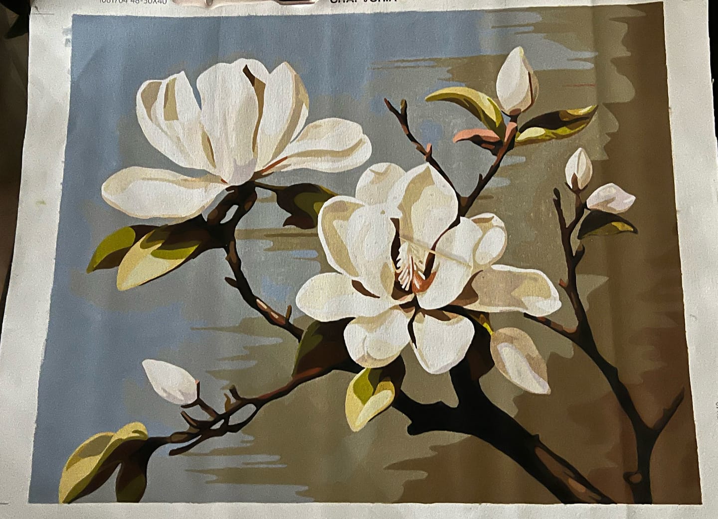 Customer photo review of Serenity Blossom