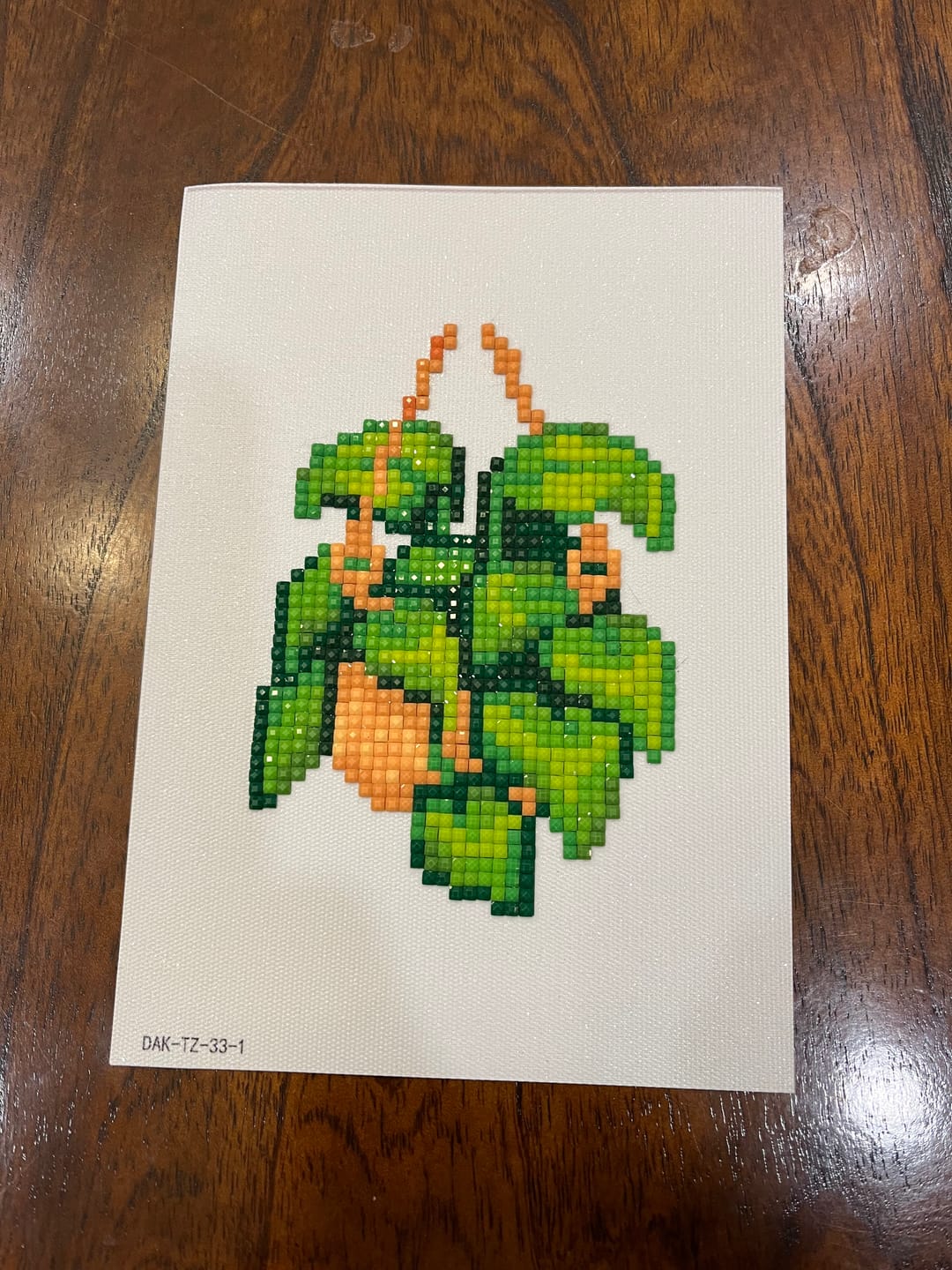 Customer photo review of Houseplants Set No. 2