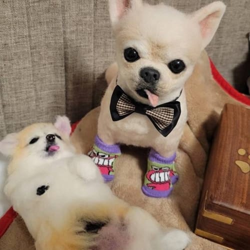 3D Custom Stuffed Animals from Pictures (Full‑Size)