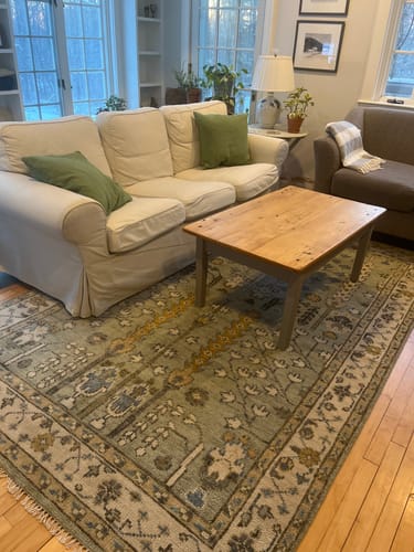 Customer photo review of Ready to Ship Antique Moss Green and Ivory Hand Knotted Traditional Wool Area Rug