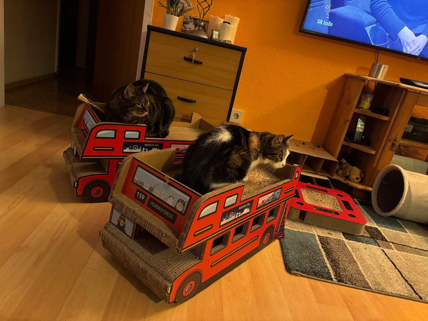 Customer photo review of Doppeldecker-Bus