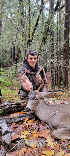 Customer photo review of Beast Broadheads - 2 Pack