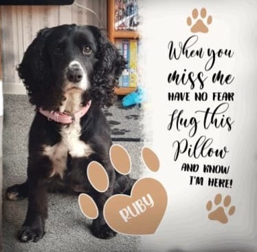 Customer photo review of When you miss me - Personalised Pillow