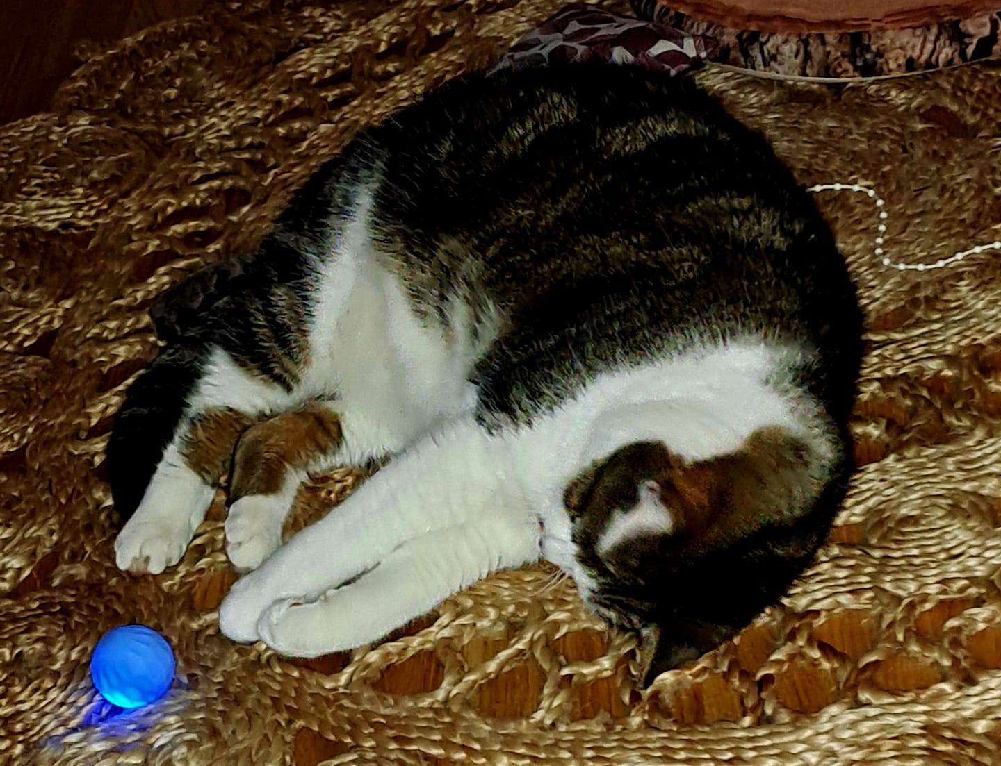 Customer photo review of POWER BALL 2.0