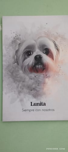 Customer photo review of Foto de tu mascota en estilo acuarela | Regalo para cachorros, perros y gatos