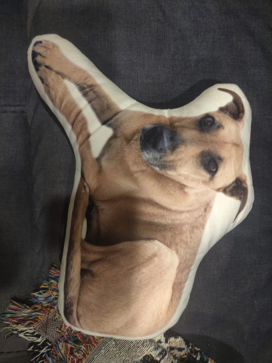 Customer photo review of Custom Shaped Pillow with Loved One Picture of Person/Pet Personalized 3d Photo Pillow