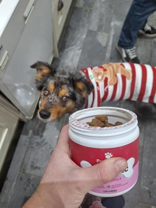 Customer photo review of PureBlend Probiotic Chews for Dogs