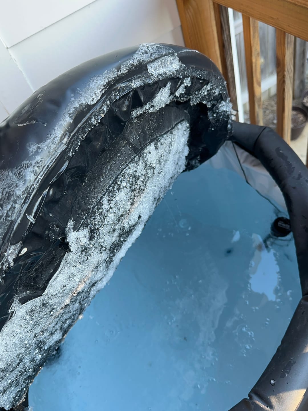 Customer photo review of Water Circulation Jet