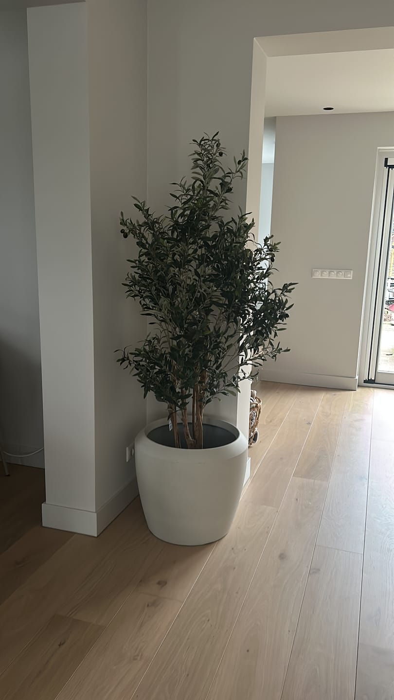 Customer photo review of Kunst Olijfboom 180cm