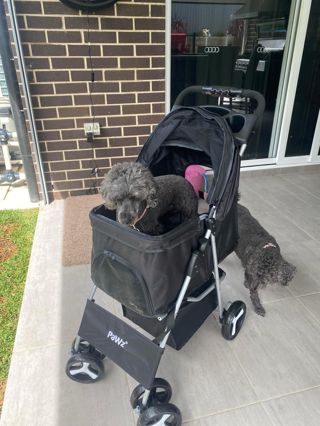 Customer photo review of PaWz 4 Wheels Pet Stroller with Detachable Basket
