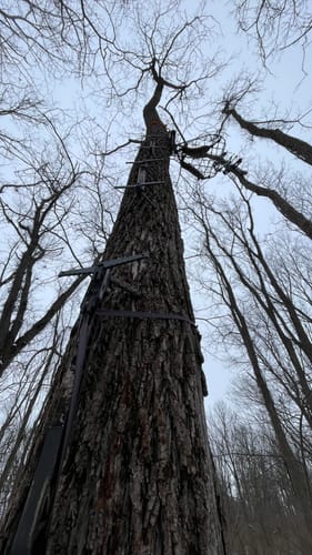 Customer photo review of COMPACT DOUBLE