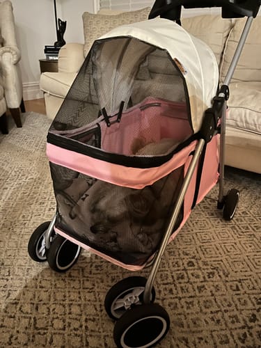 Customer photo review of Pawz Compact & Comfortable Pet Stroller