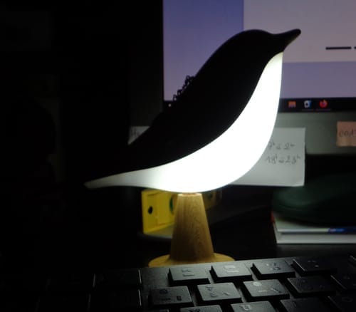 Customer photo review of BirdZen - Lampe de Chevet St Valentin