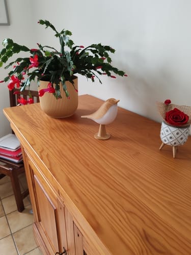Customer photo review of BirdZen - Lampe de Chevet St Valentin