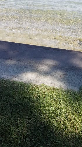 Customer photo review of 3 Conf. Probiofive