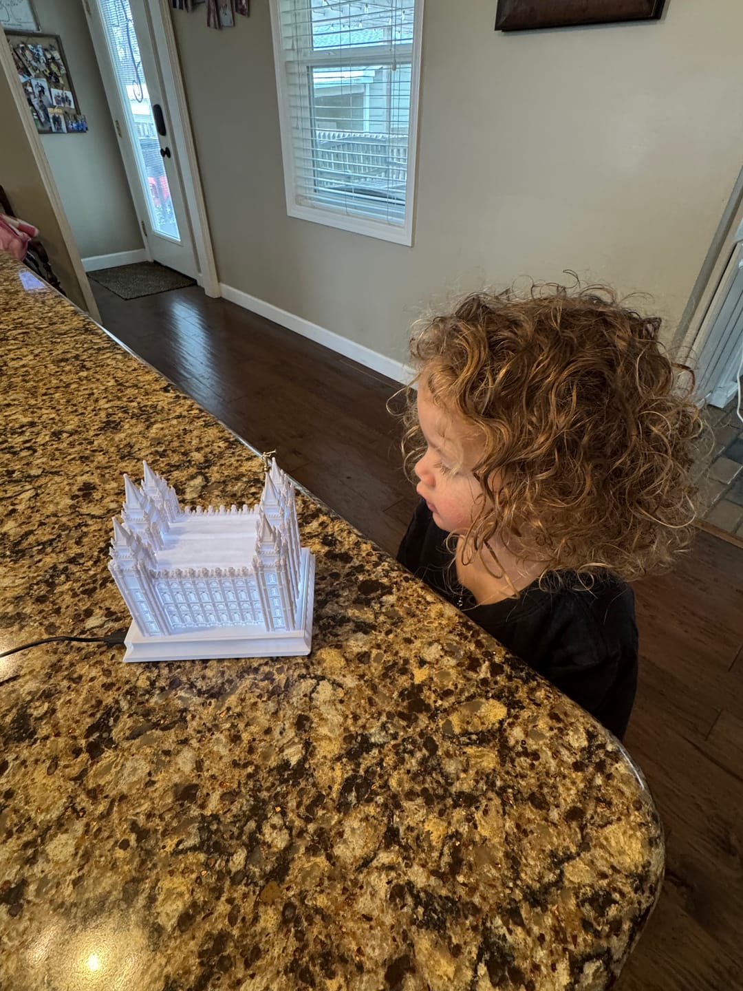 Customer photo review of Temple Music Light | Choose Any Temple | 300+ Temples to Choose From