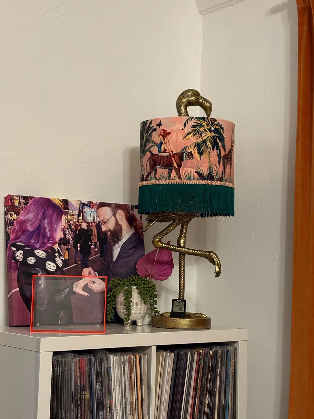 Customer photo review of Jungle Walk Pink Fringed Drum Lampshade