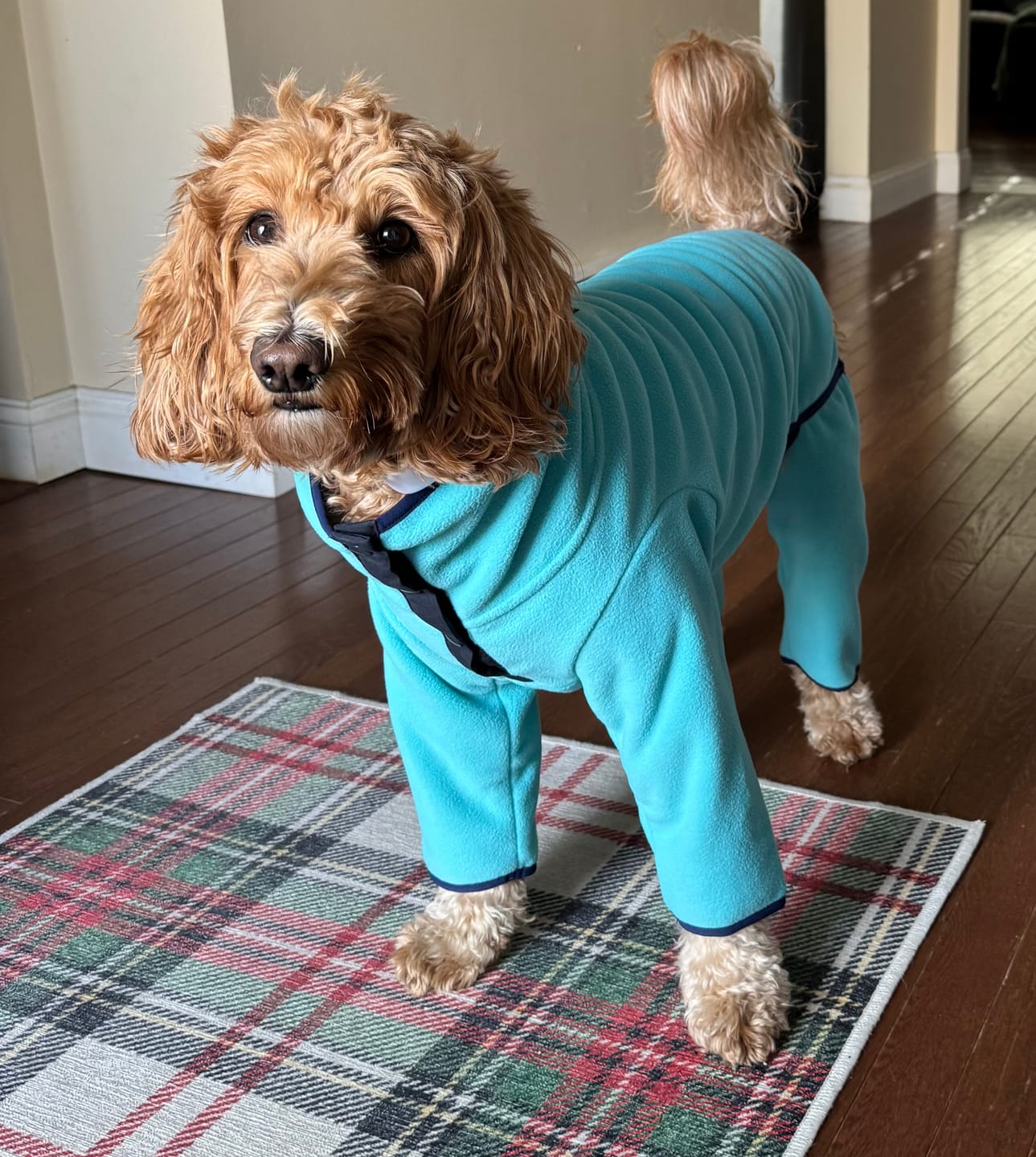 Customer photo review of NEW Fleece Pull-Over