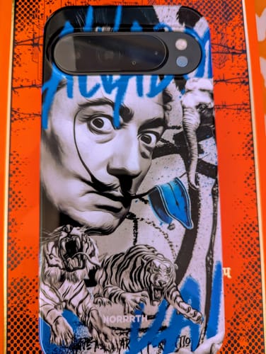 Customer photo review of Salvador