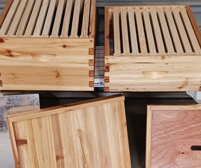 Customer photo review of MayBee Hives 10 Frame 4 Layer Cedar Wood Beehive Dipped in 100% Beeswax, Include 2 Deep Bee Boxes 2 Medium Super Bee Boxes with Pine Wooden Frames and Beeswax Plastic Foundation,Complete beehive kits