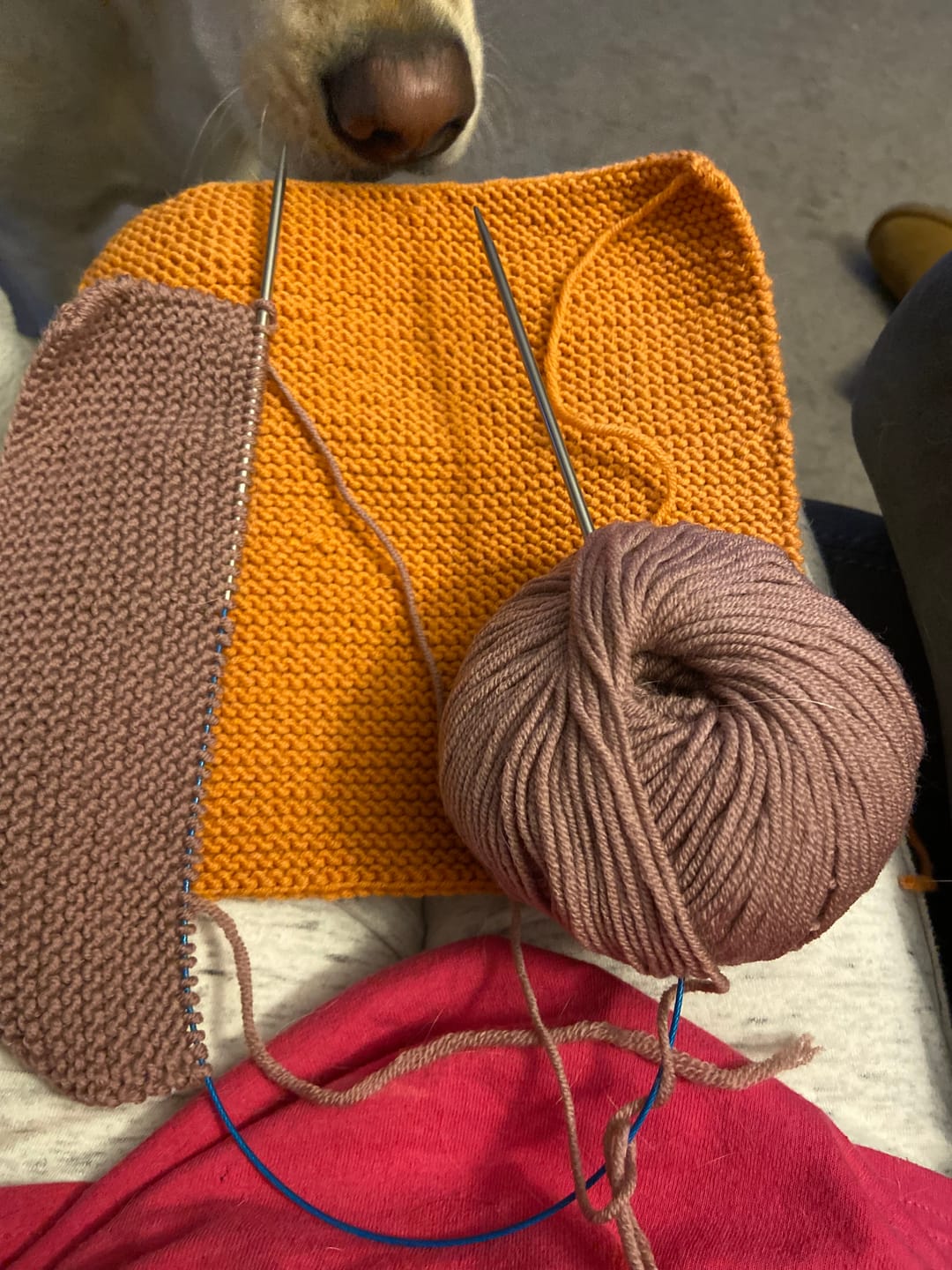 Customer photo review of Extra 2 Mystery Balls of Yarn