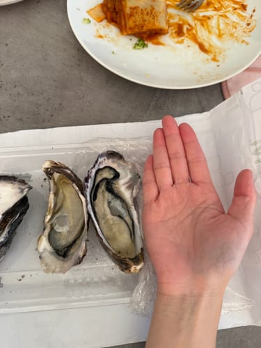 Customer photo review of Fresh NZ Oysters (Half-Shell) 6 Pieces
