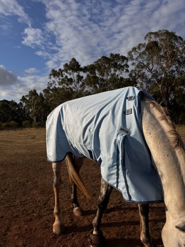 Customer photo review of LE Boxter Turnout 0g