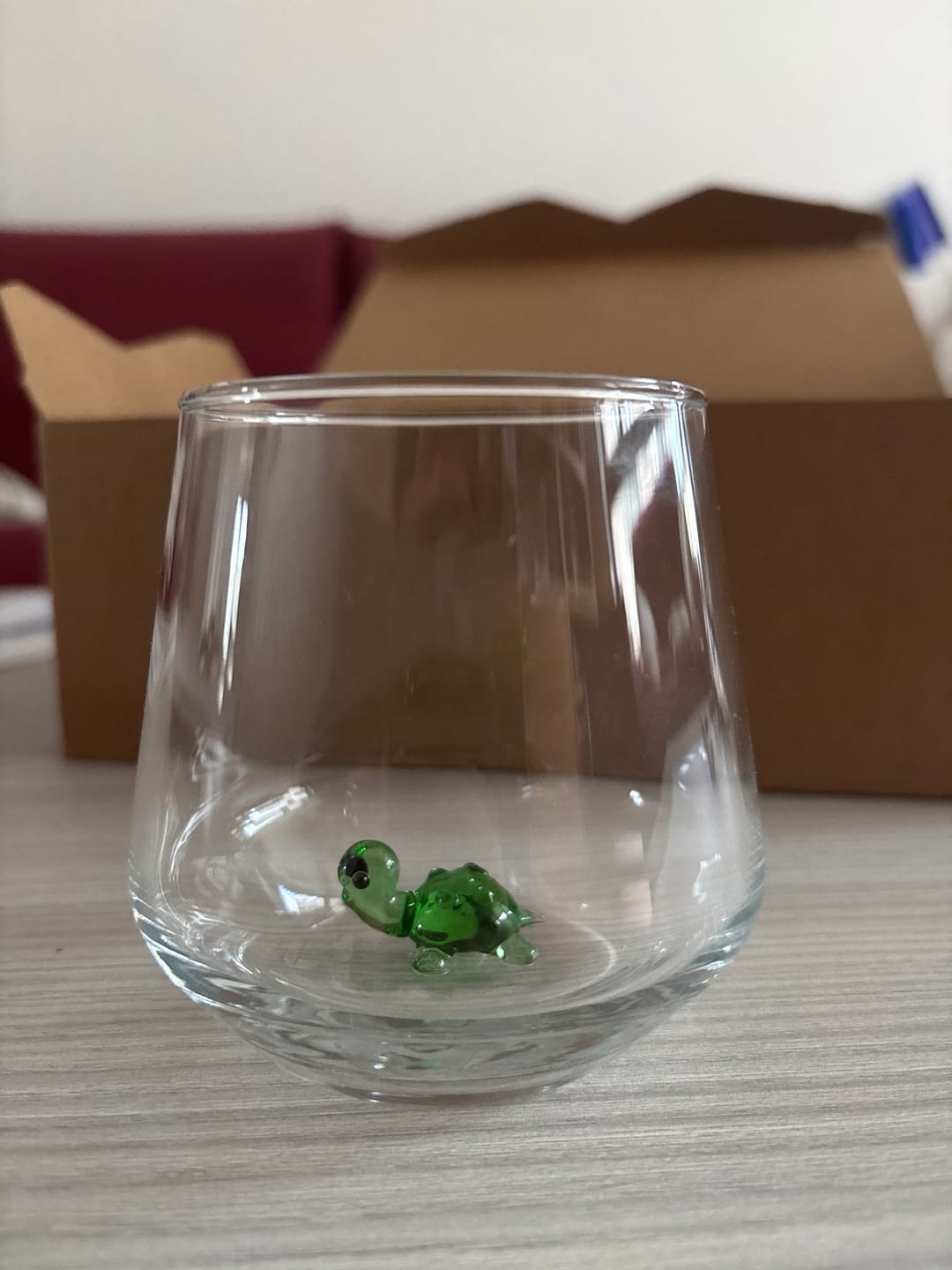 Customer photo review of Turtle Glass