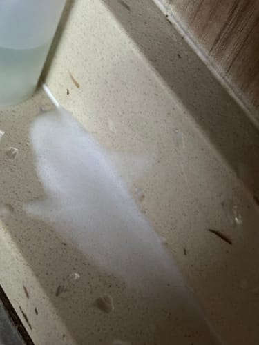 Customer photo review of Mold Remover Spray