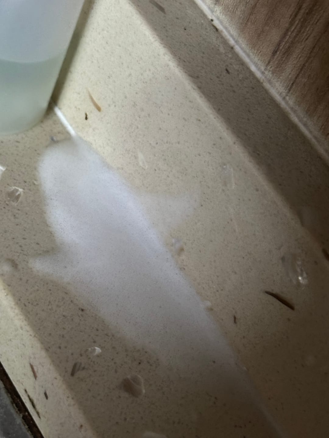 Customer photo review of Mold Remover Spray