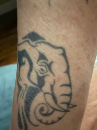 Customer photo review of Tribal Elephant Tattoo - Semi Permanent