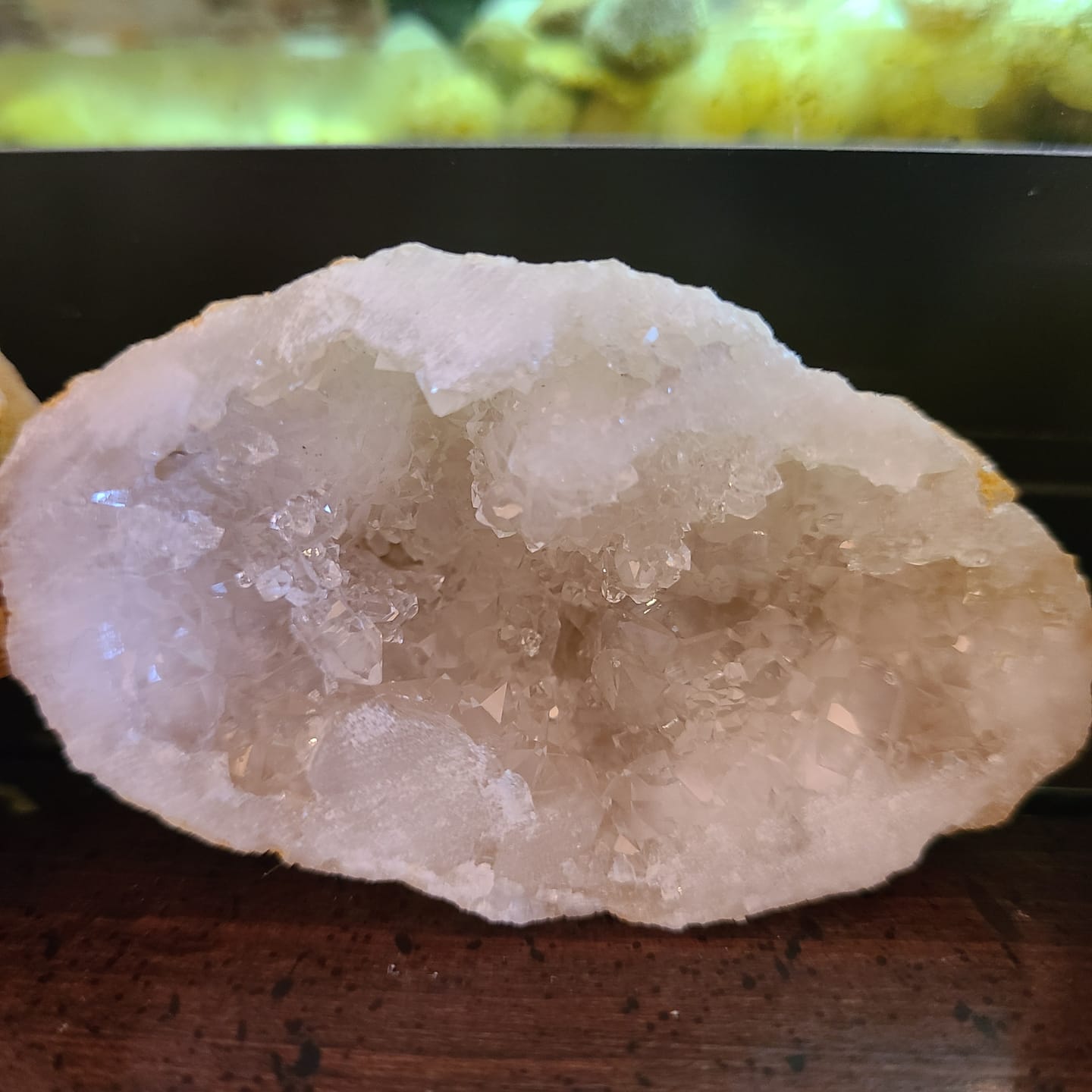 Customer photo review of Gallon Bucket of Quartz Geodes