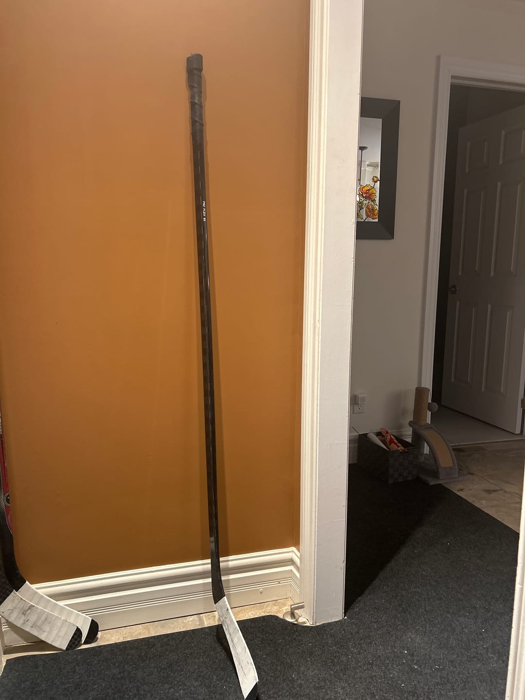 Customer photo review of Prototype All Black Superlite Sr (395g)