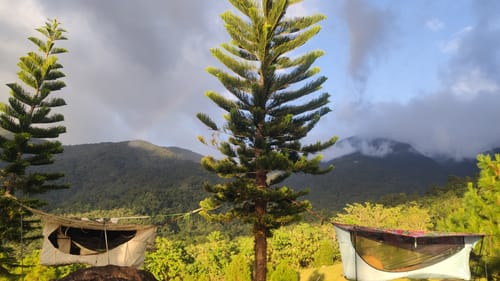 Customer photo review of Haven Tent