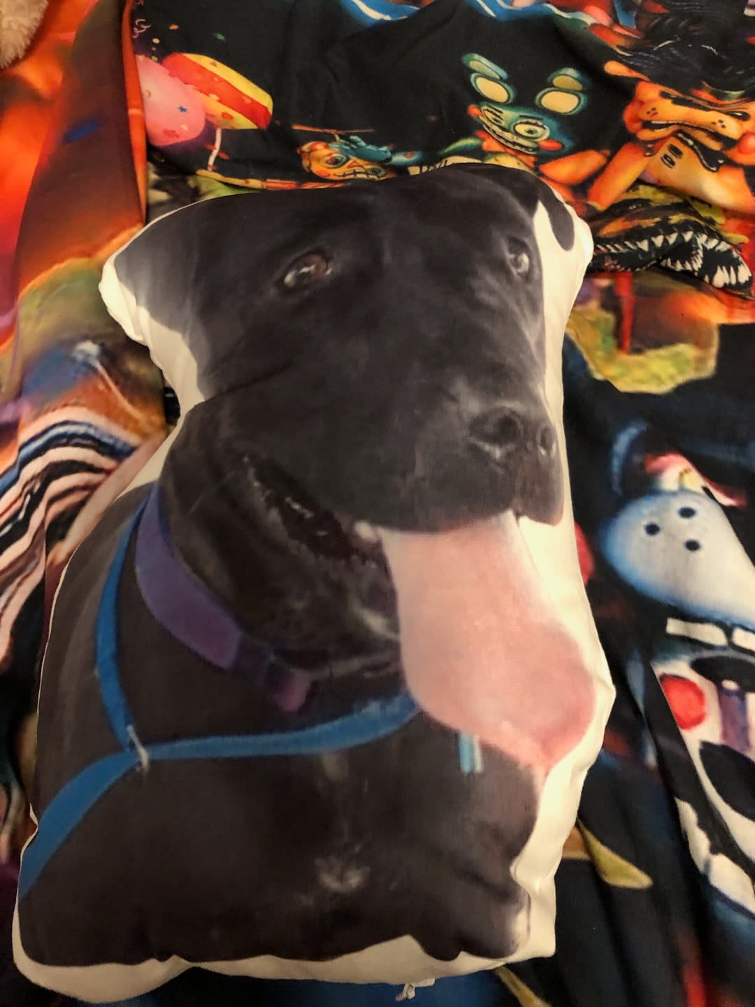 Customer photo review of Custom Pet Shaped Pillow that Look Like your Pet - ThePetPillow