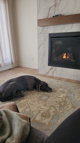 Customer photo review of Broomfield Gray 1144 Wool Area Rug
