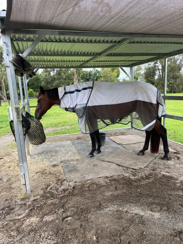 Fiona F. review of LE Breeze Summer Sheet with Fieldsafe Front image 1 out of 2