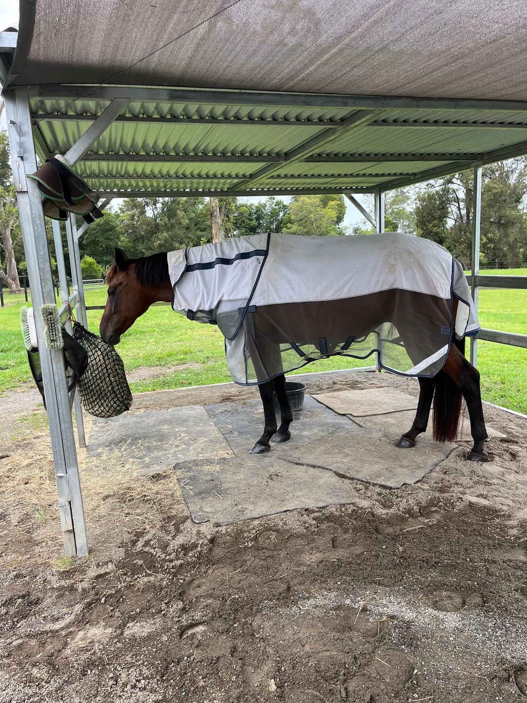 Customer photo review of LE Breeze Summer Sheet with Fieldsafe Front
