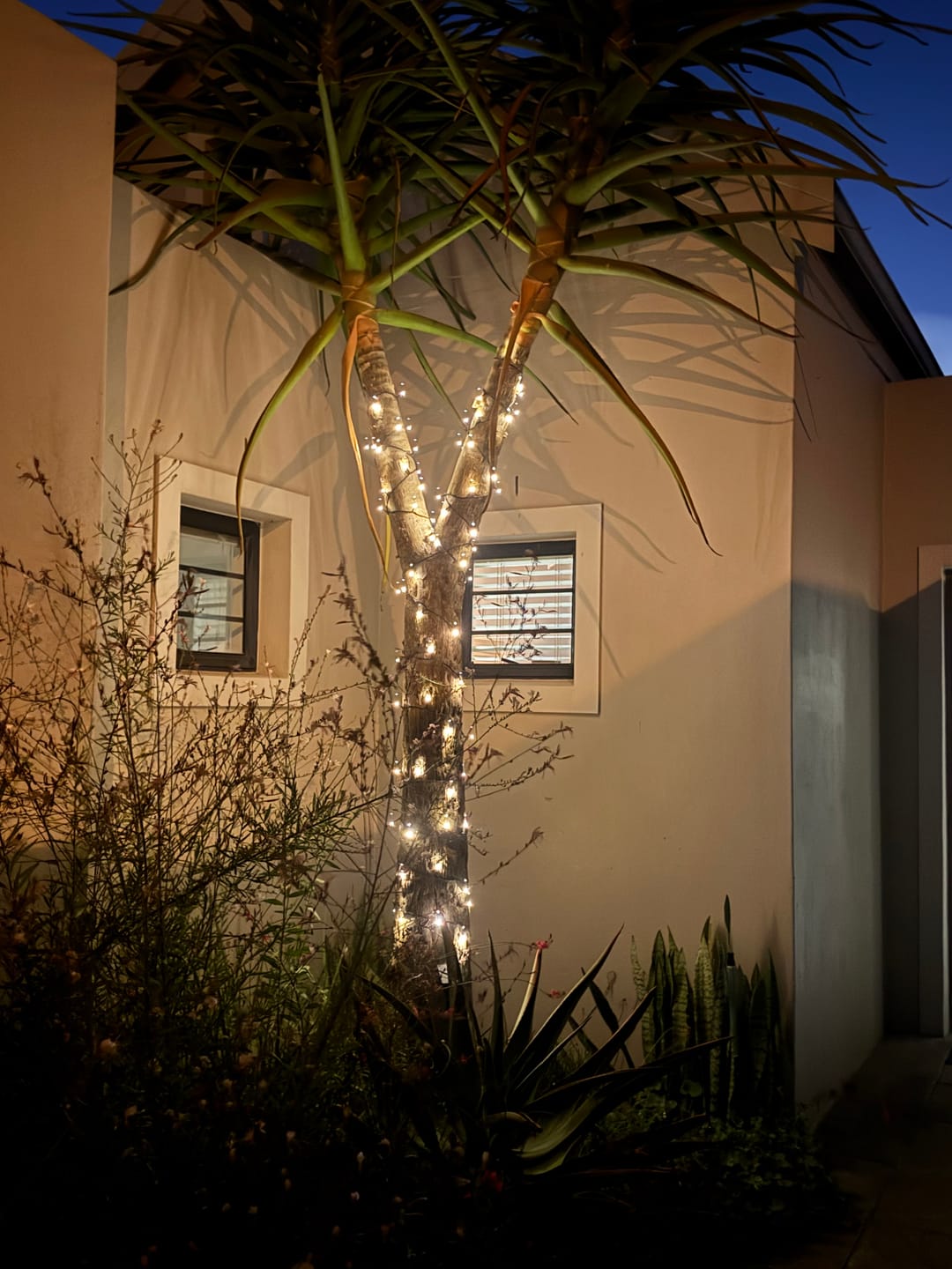 Customer photo review of Black String Solar Fairy Lights