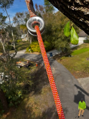 Customer photo review of Arbo Space PLAID 1/2" (12mm) Bull Rope (NEW)
