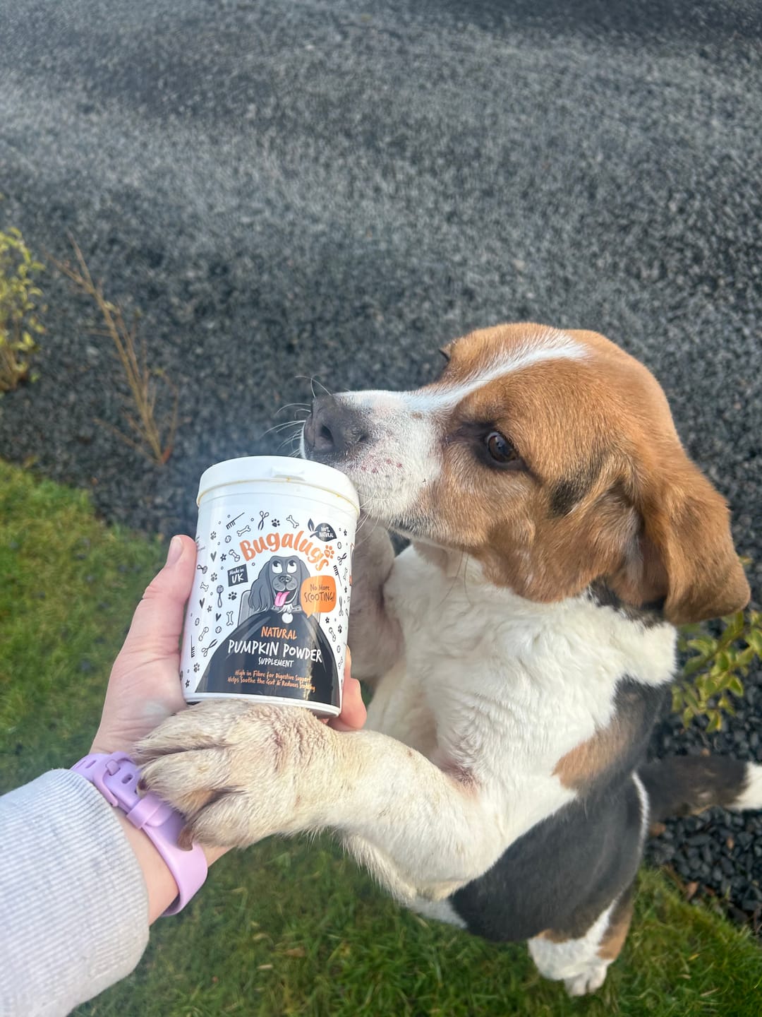 Customer photo review of Pumpkin Powder Supplement for Dogs (200g)