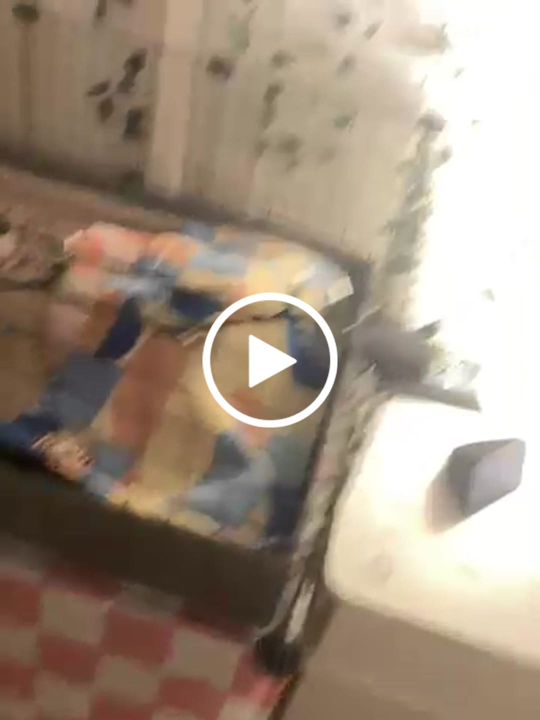 Customer video review of Piggy Condo C&C Cage with Balcony & Ramp