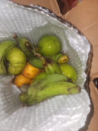 Customer photo review of Random Box